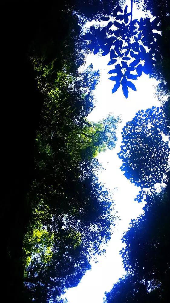 贾浅浅：黄瓜等多首网传诗歌不是我写的，为何之前不出来辟谣？