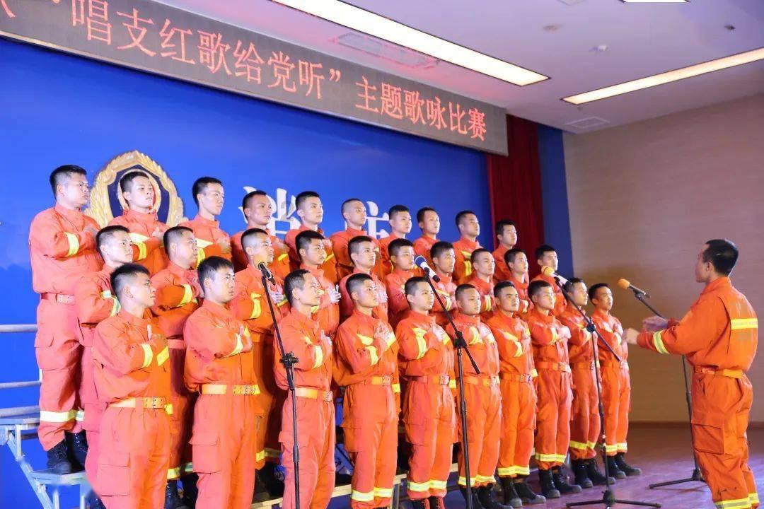 动物帮帮忙保卫家园